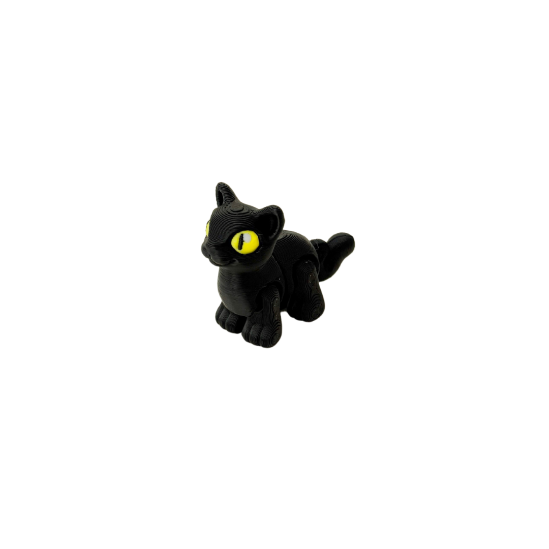 Black Cat