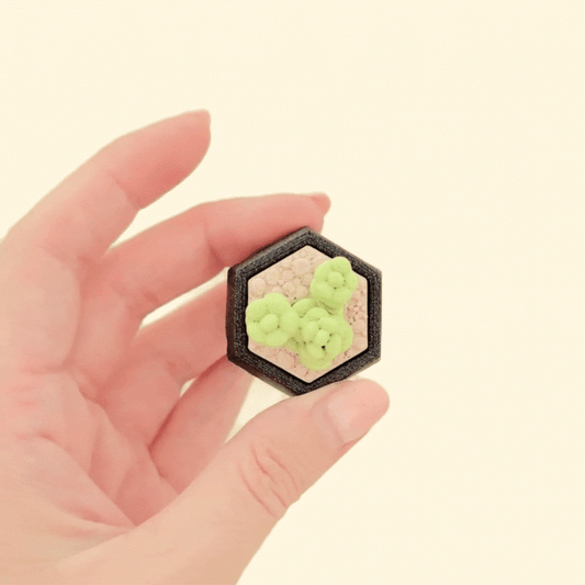 Compact stim toy in the shape of a succulent, designed for clicking and sensory input.