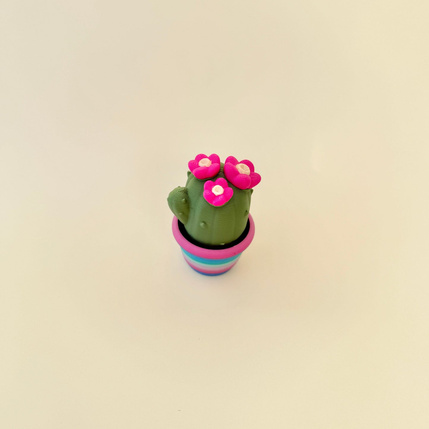 Green cactus toy featuring bright pink flowers and rainbow detailing for a fun design.