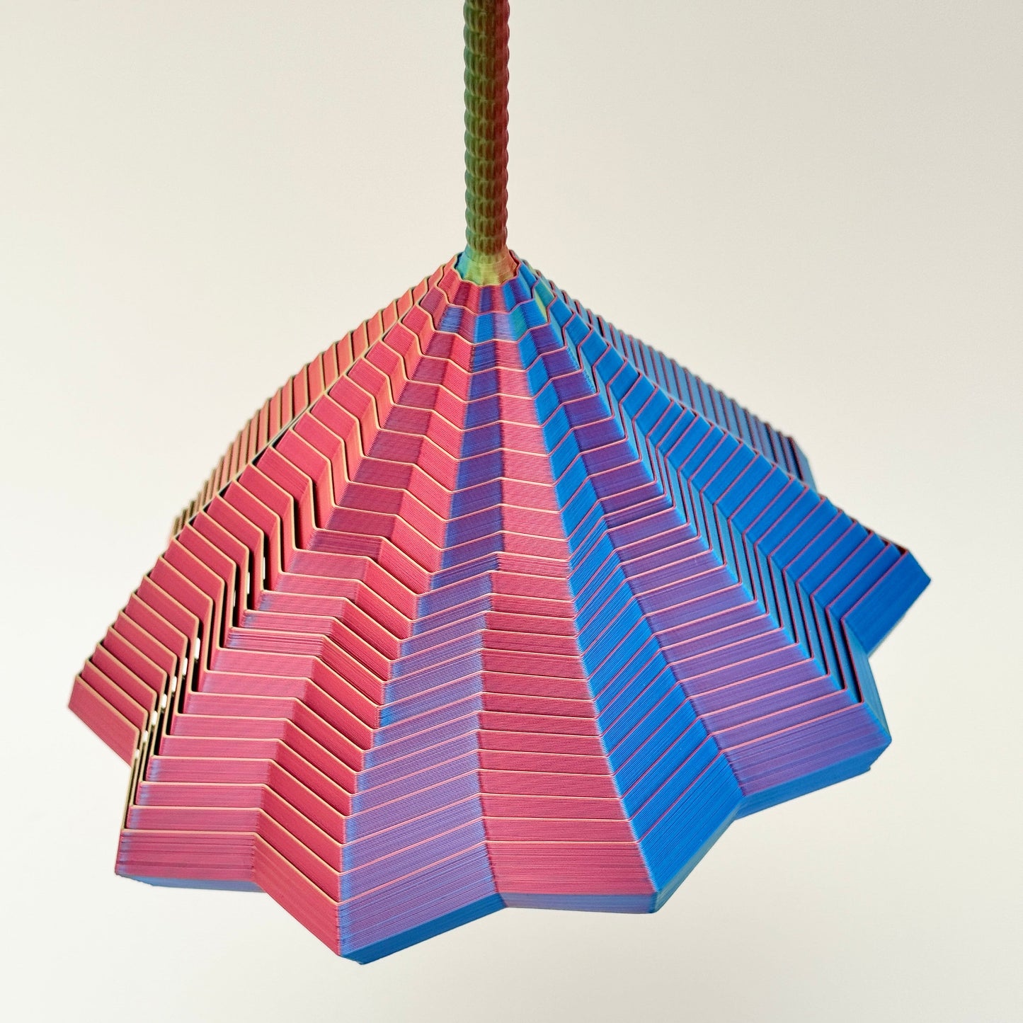 Top-down starburst pattern before it blooms into a cone.