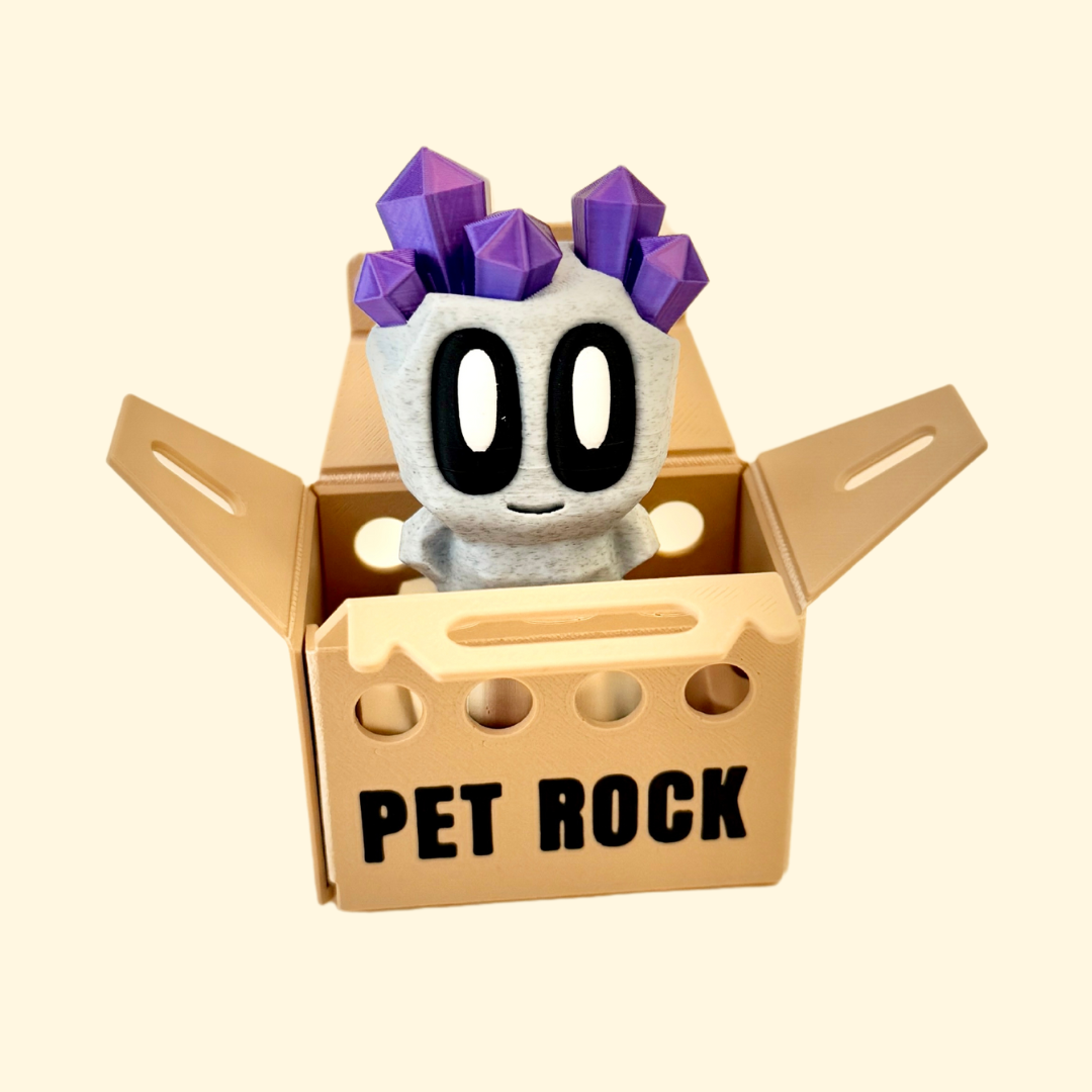 A collection of four unique pet rocks with adorable features, each displayed with its own brown crate-style carry box labeled ‘Pet Rock.’