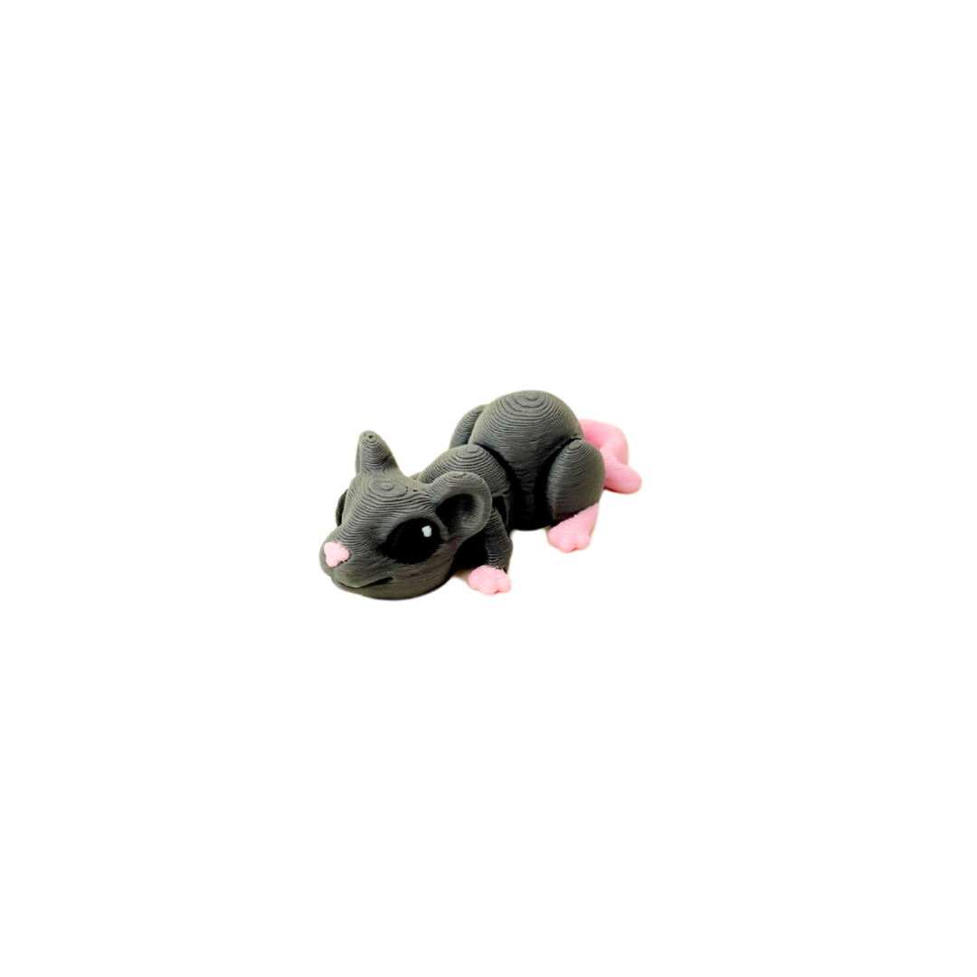 Rat