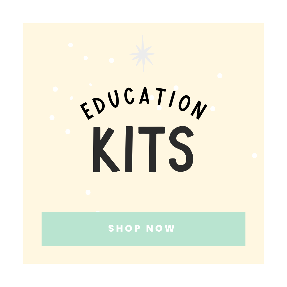 Educational & Therapy Fidget Kits