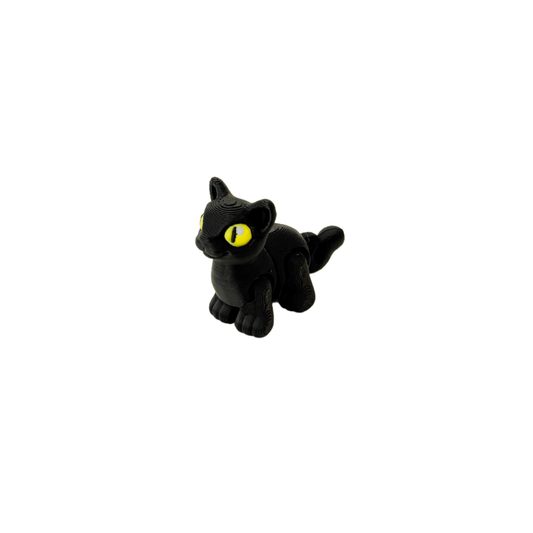 Black Cat