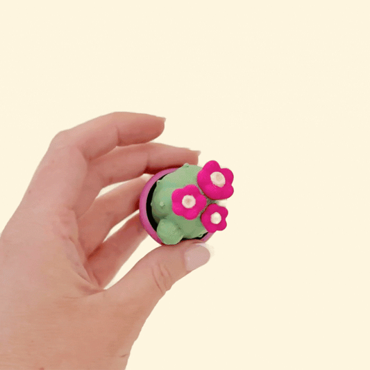 Green cactus with pink flowers in a rainbow base, designed for clicking and sensory use.