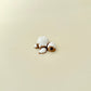 Cute turtle fidget with pastry shell aesthetic, designed for calming, repetitive stims.