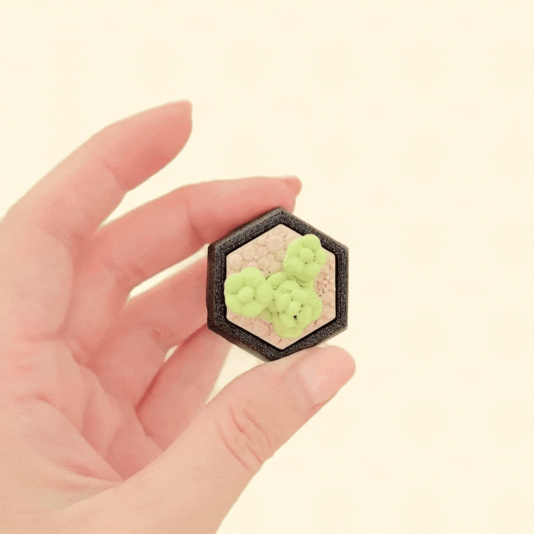 Compact stim toy in the shape of a succulent, designed for clicking and sensory input.
