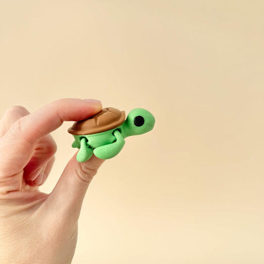 A collectable turtle fidget toy featuring detailed design and vibrant colours, perfect for fidgeting.