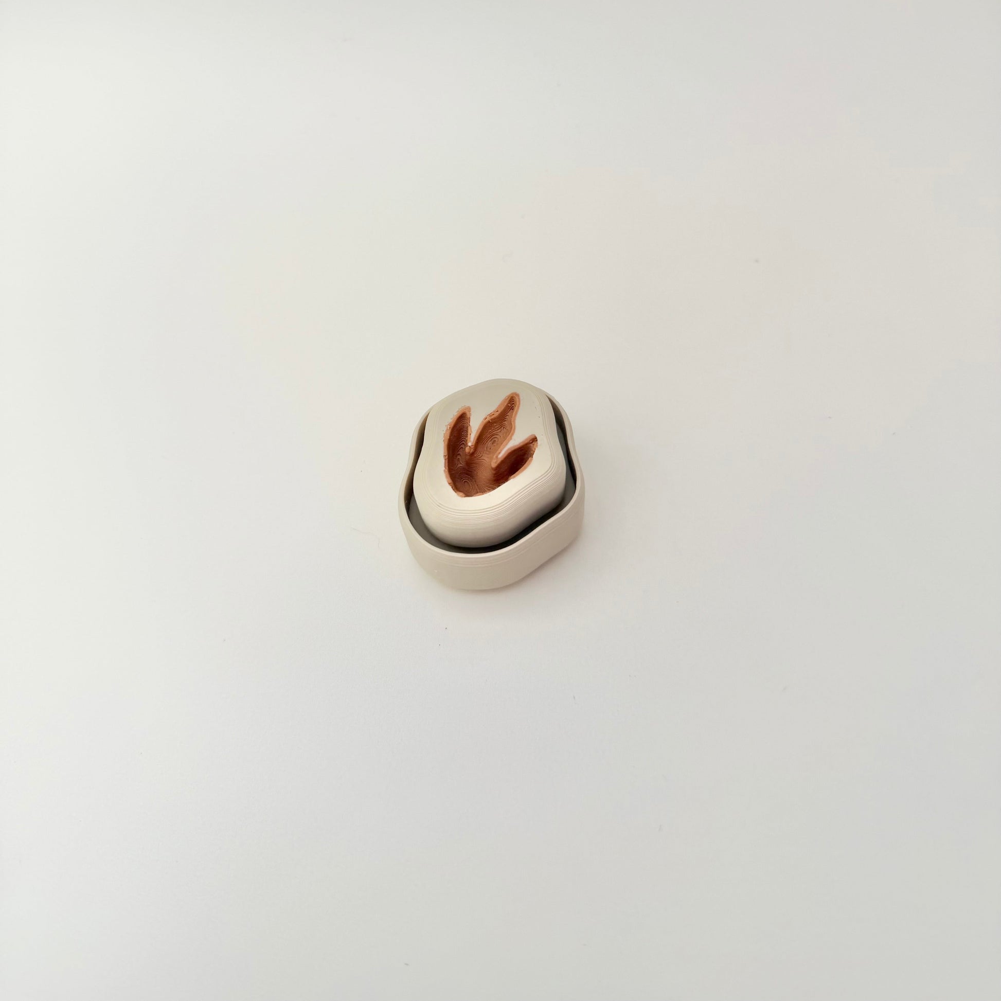 Compact tactile dino track clicker for quiet finger tracing and handheld stimming.
