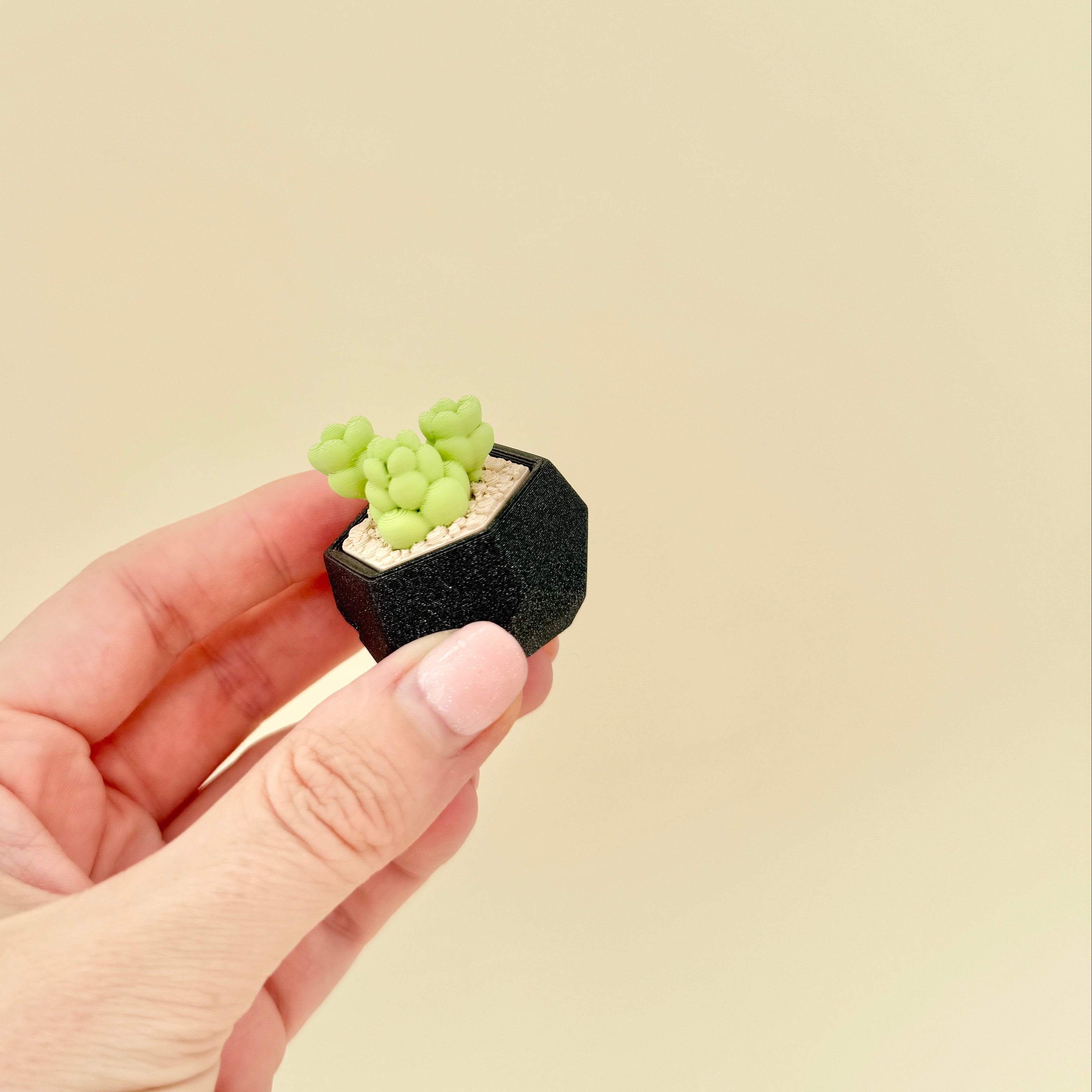 Miniature plant fidget toy with textured succulent top and smooth pressable action.