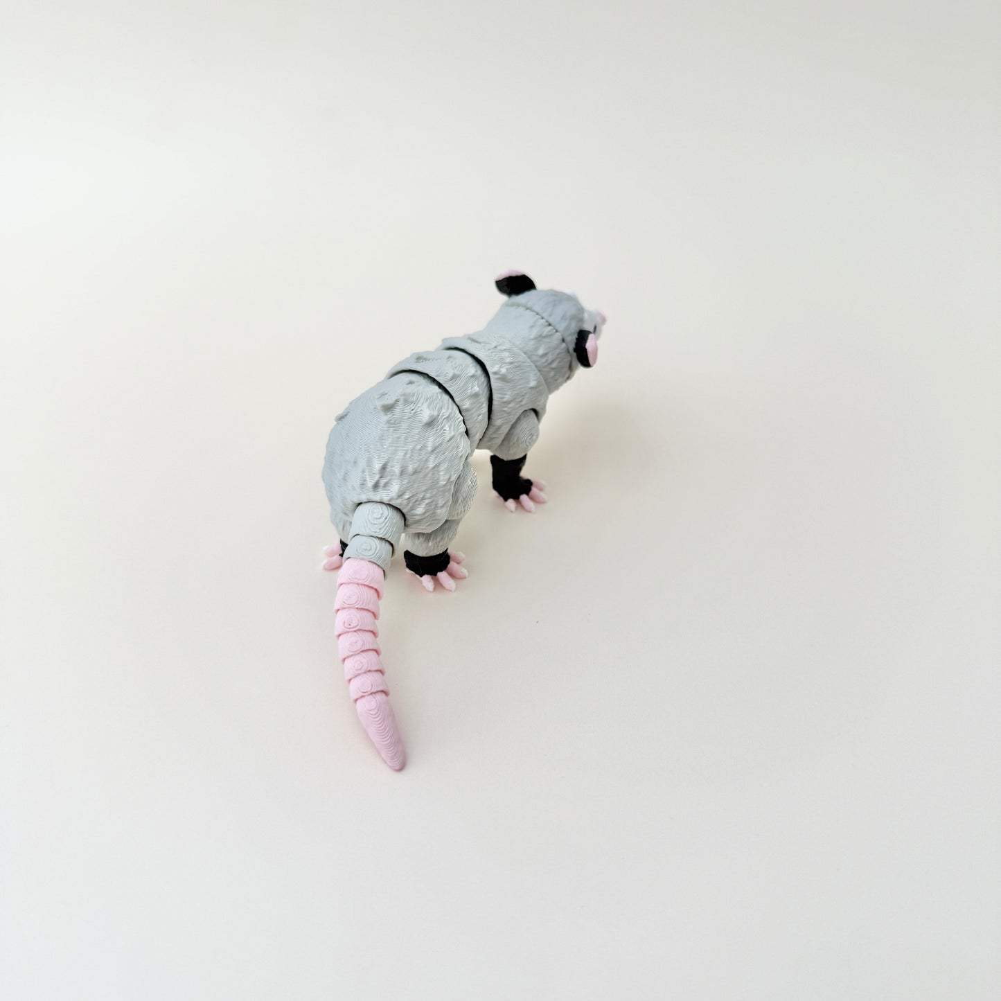 Possum