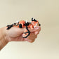 Seasonal dragon with a pumpkin panel on its back and contrasting black limbs.
