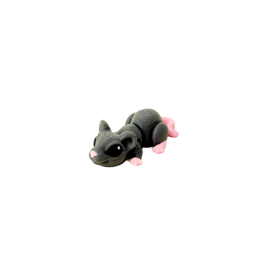 Rat