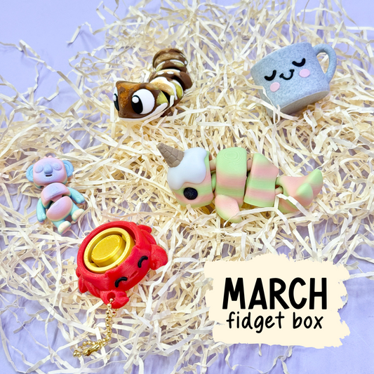 Monthly Fidget Box