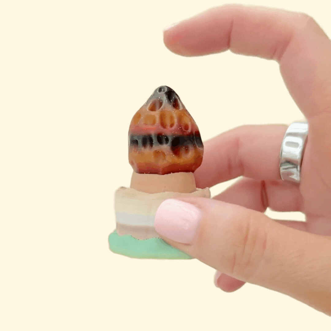 Pressable mushroom cap fidget for satisfying single clicks.
