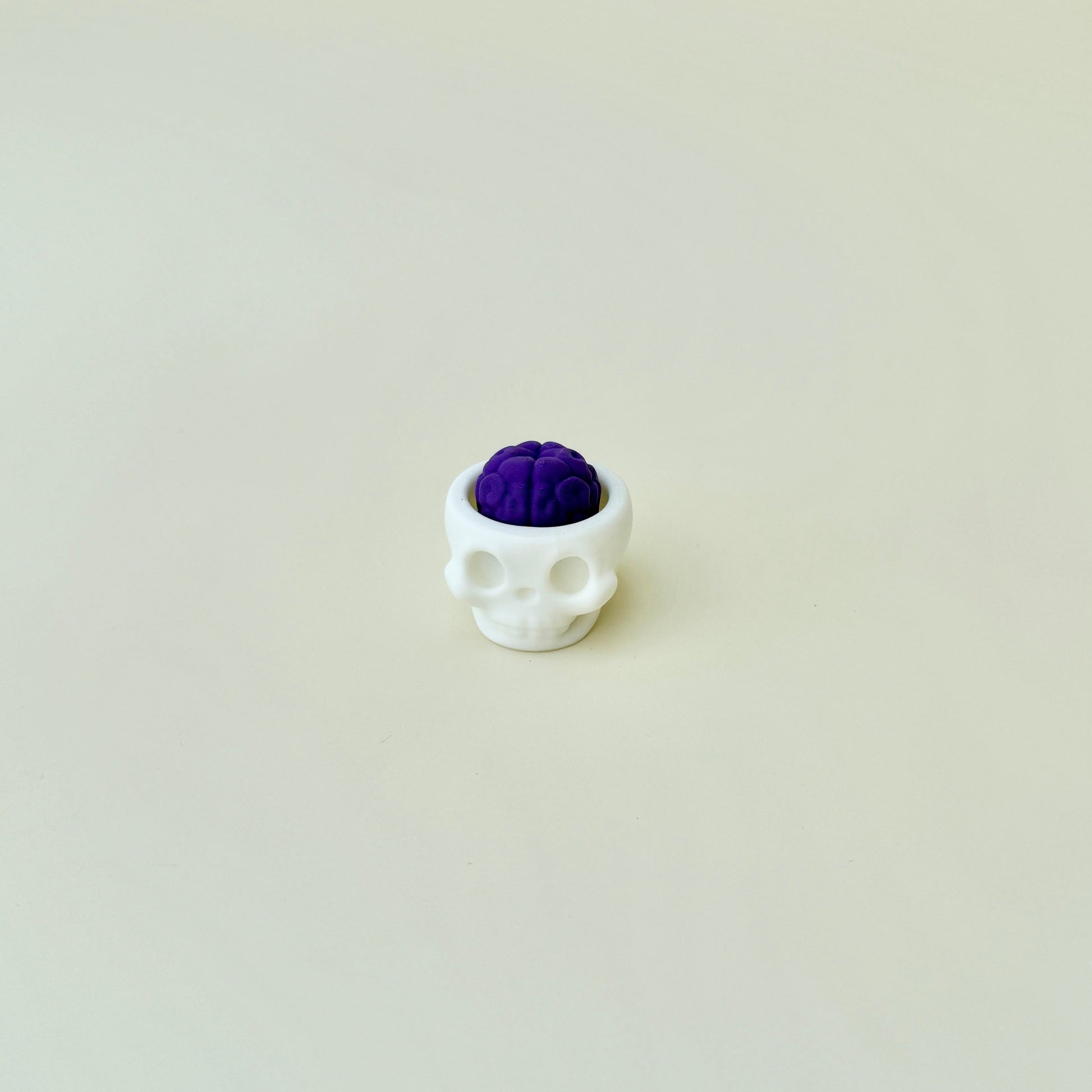 Skull-themed fidget toy featuring a brain clicker for tactile engagement
