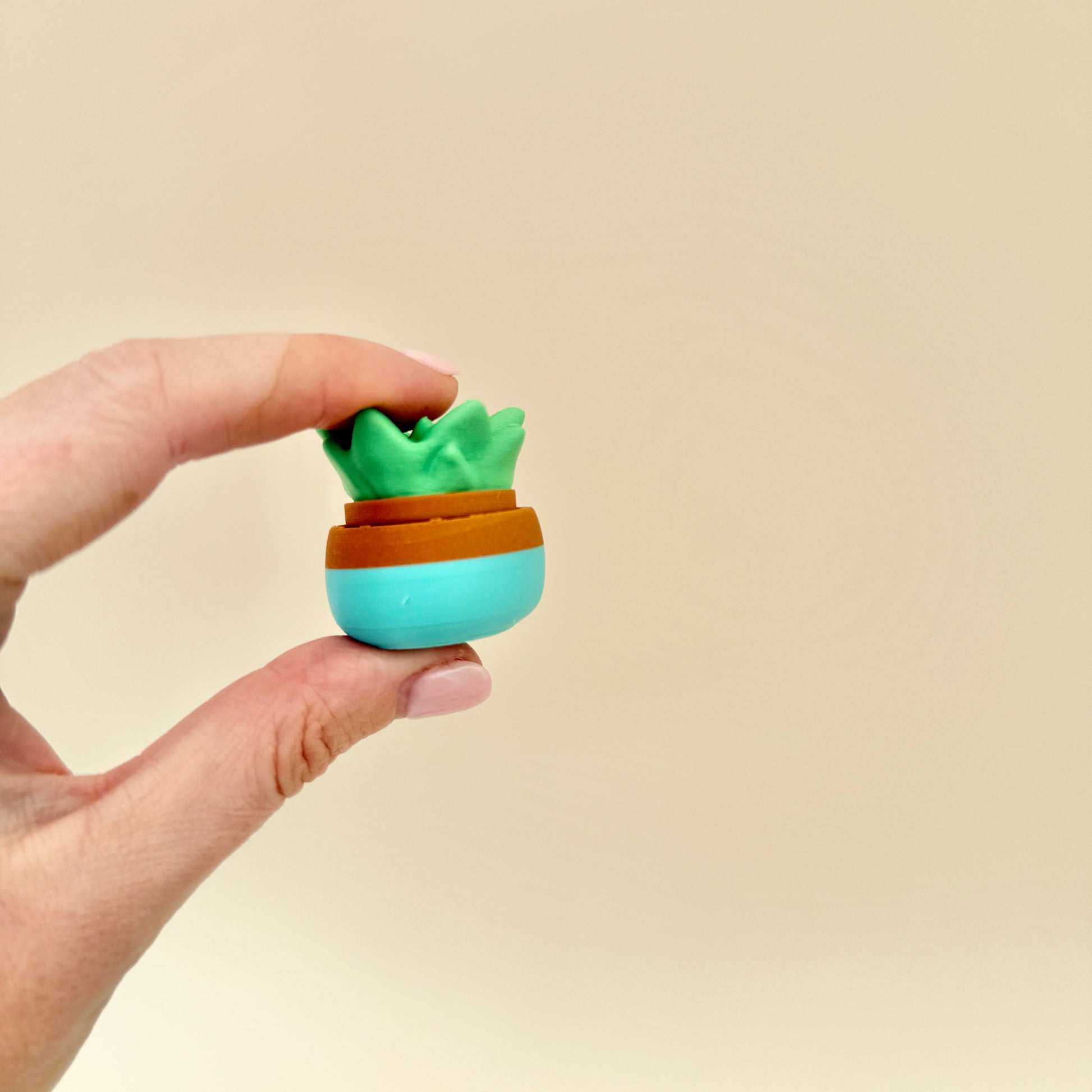 A pocket-sized succulent fidget toy that clicks when pressed, ideal for stress relief and tactile play.