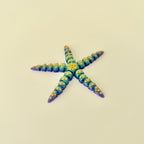 A flexible starfish toy offering gentle movement, subtle texture, and calming tactile input.
