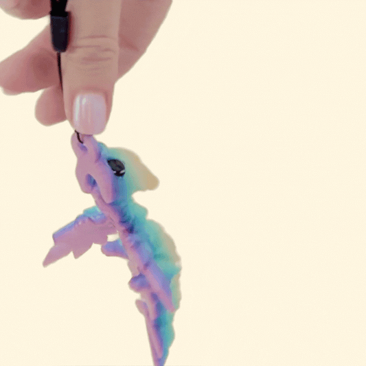 Carry Companion Dragon