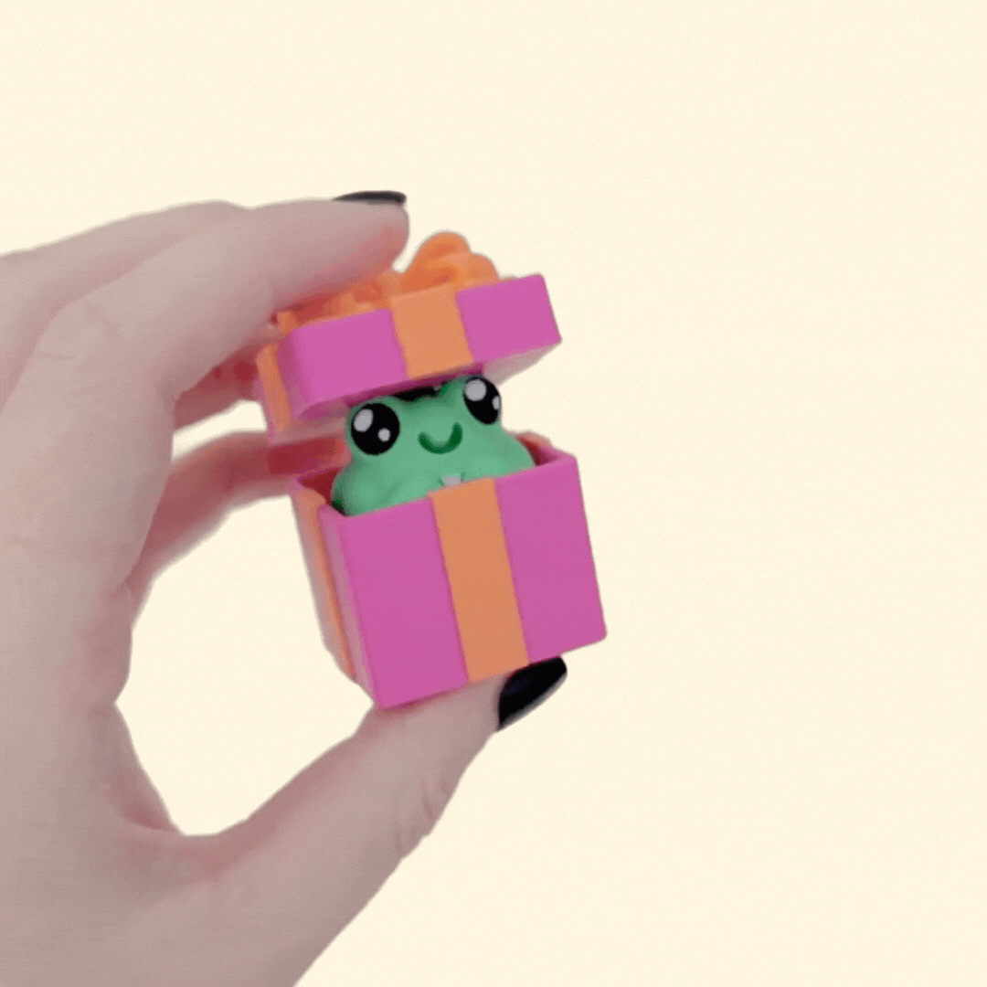 GiftBox Froggy